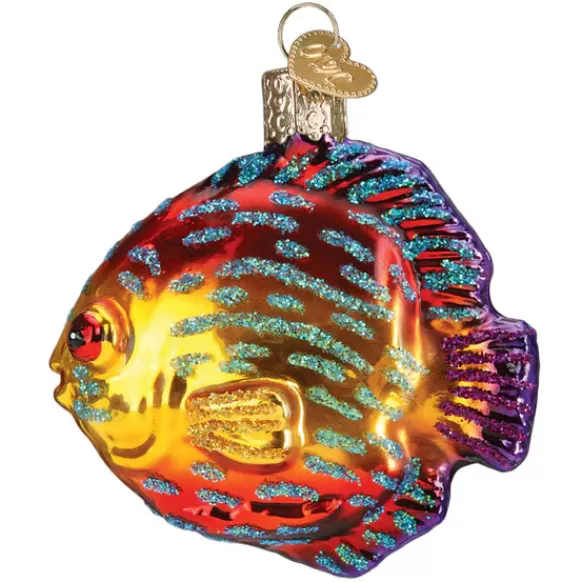 Cheap Discus Fish Ornament - Fish & Reptile