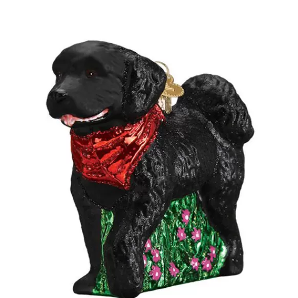 Shop Old World Christmas Doodle Dog Black Ornament -