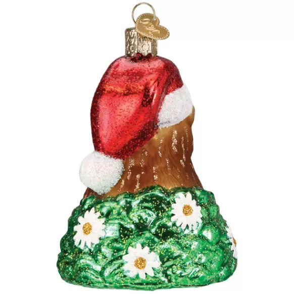 Shop Old World Christmas Santa Groundhog Ornament -
