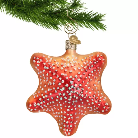 Fashion Starfish Ornament - Fish & Reptile