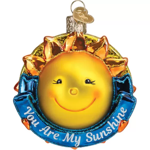 Hot You Are My Sunshine Ornament - Inspirational